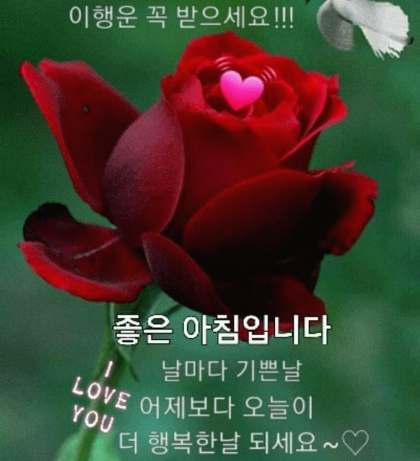 꿈과사랑 이미지