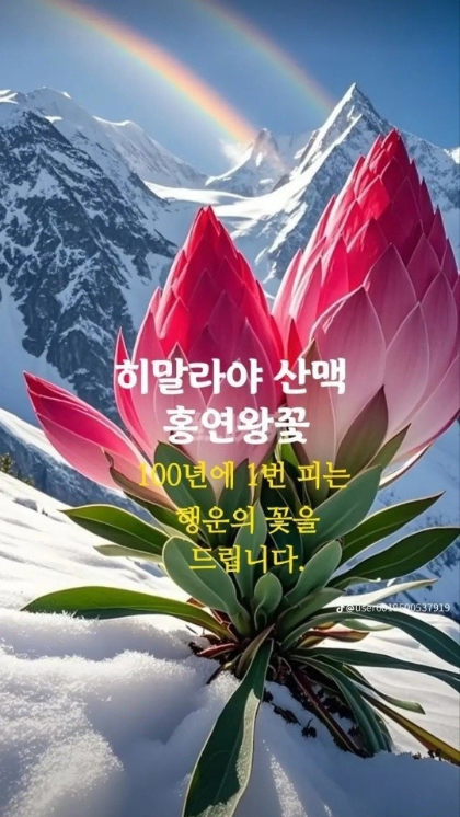 소중한 당신에게 이미지