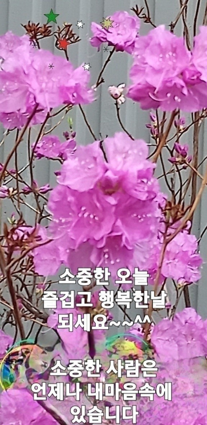 전부다 이미지