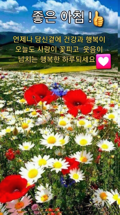 예쁜그대방 이미지