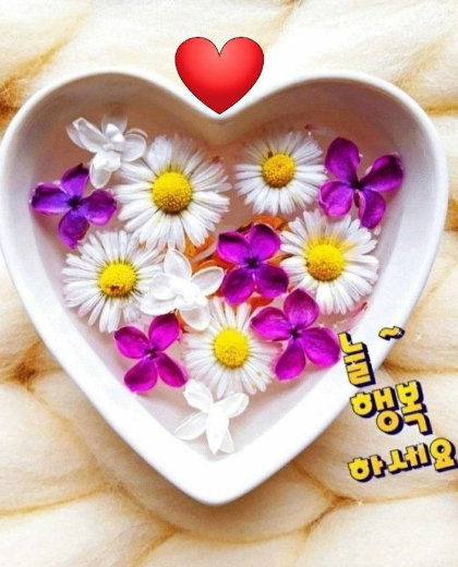 바라봄 이미지