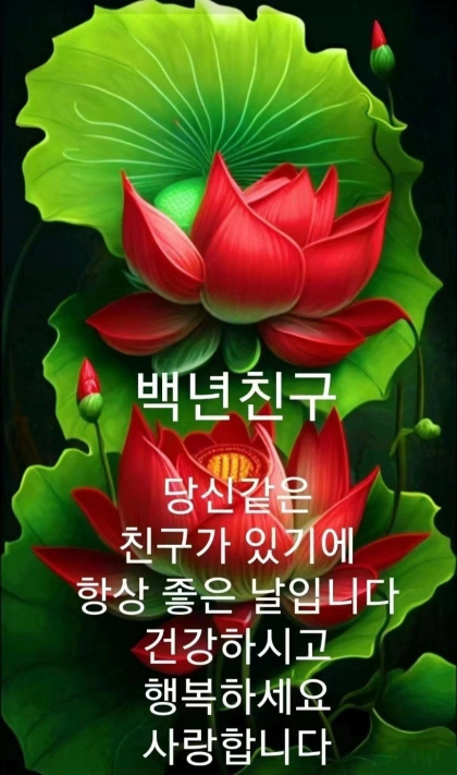 정(情) 이미지