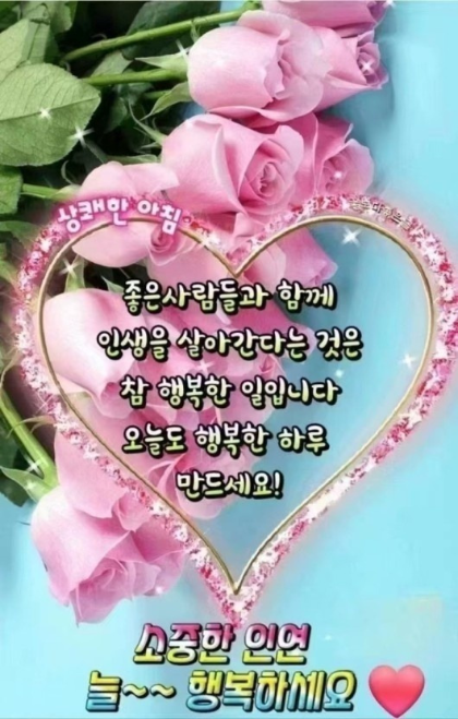 꽃들에게 이미지
