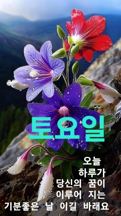 창가 이미지