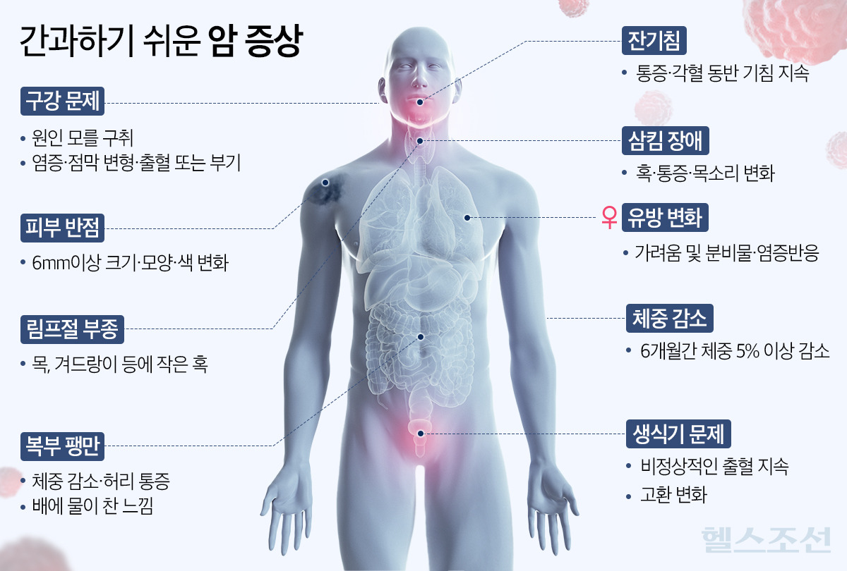 신호 이미지