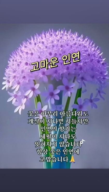 향기 이미지