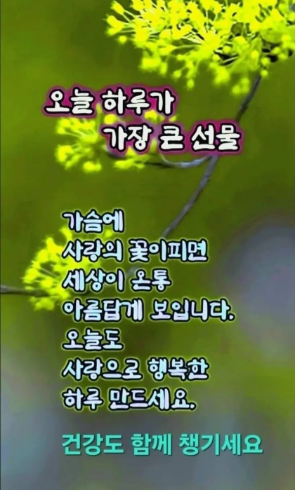몽상 이미지