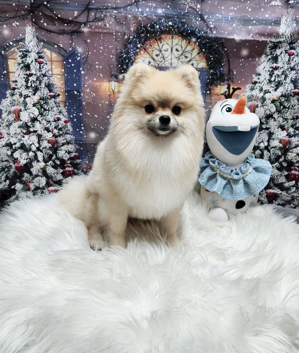 한가족 이미지