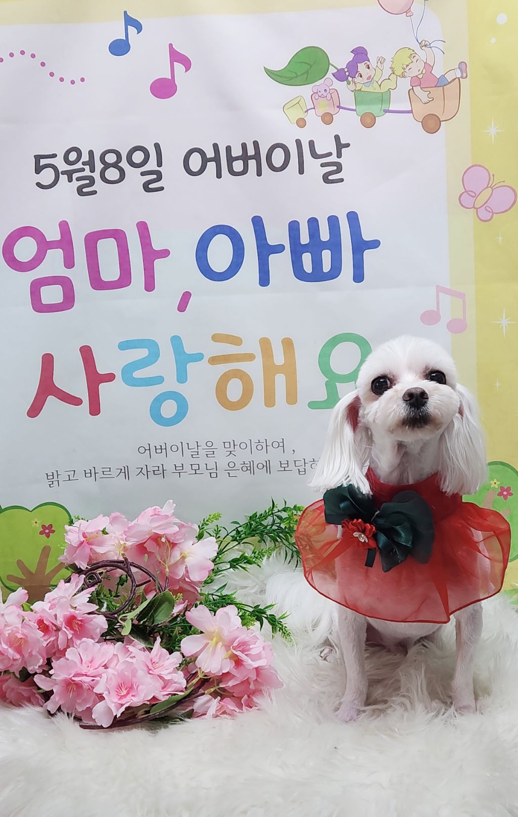 삼월 이미지