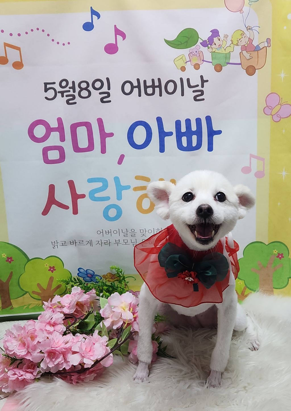 삼월 이미지