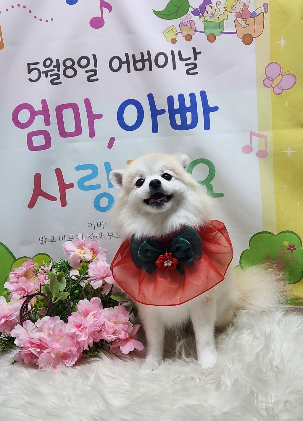 몽실이 이미지