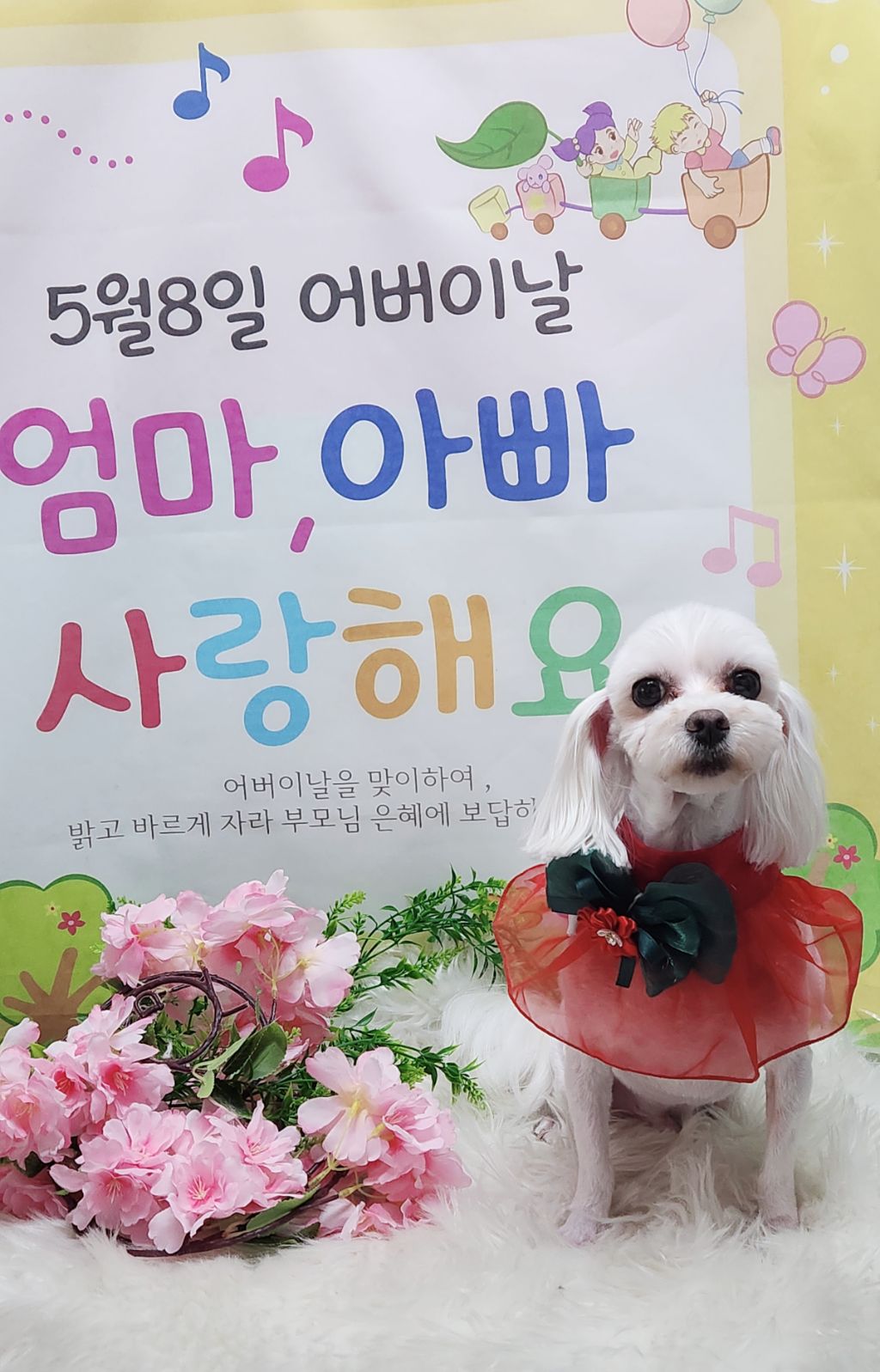 삼월 이미지
