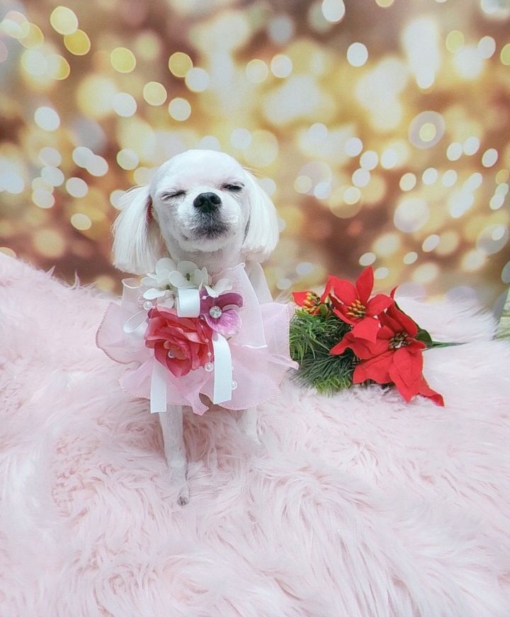 콩이네 이미지