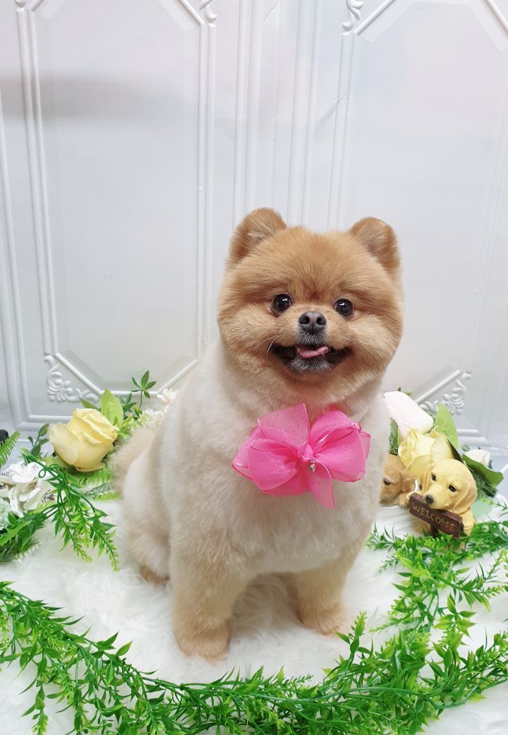 예쁜미용 이미지