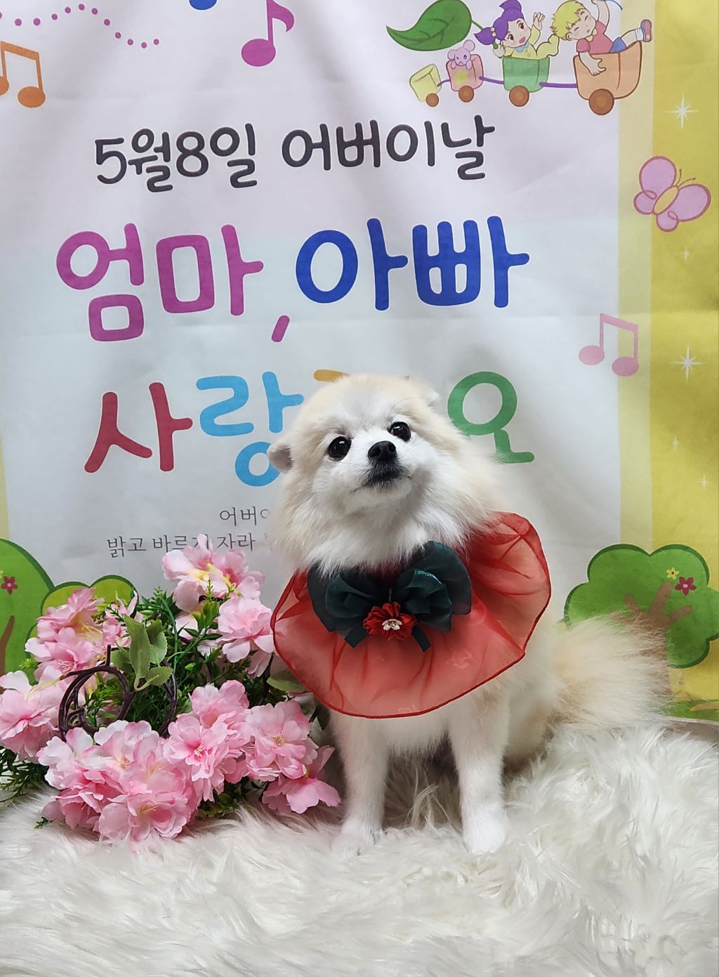 몽실이 이미지