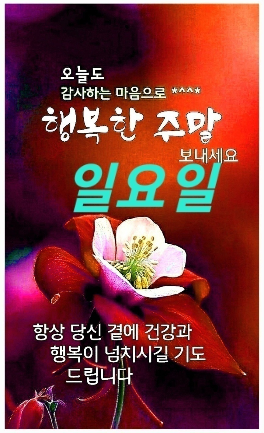 스스 이미지