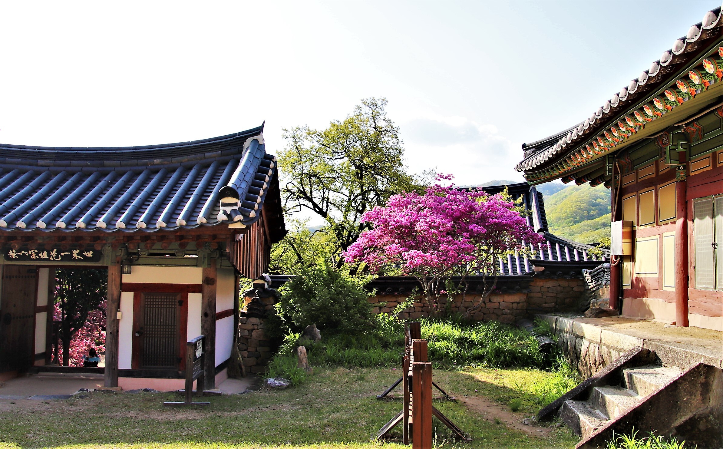 선암사 이미지
