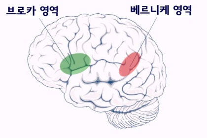 브레인발전소 이미지