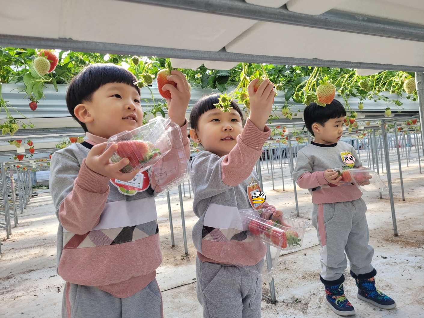 화랑어린이집 이미지