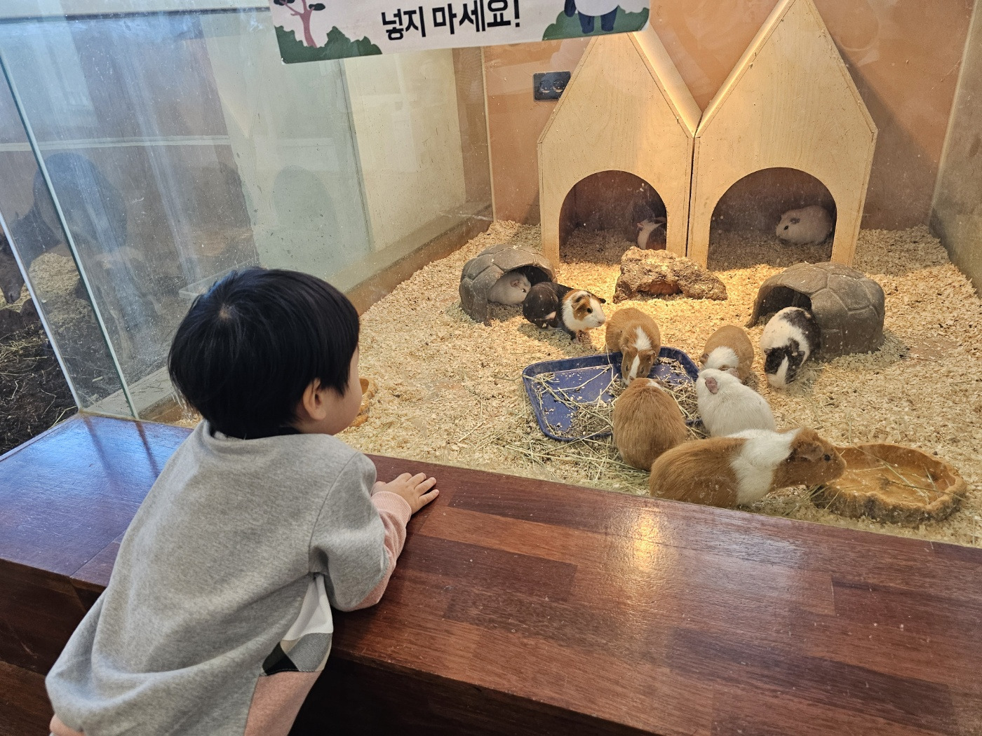 화랑어린이집 이미지