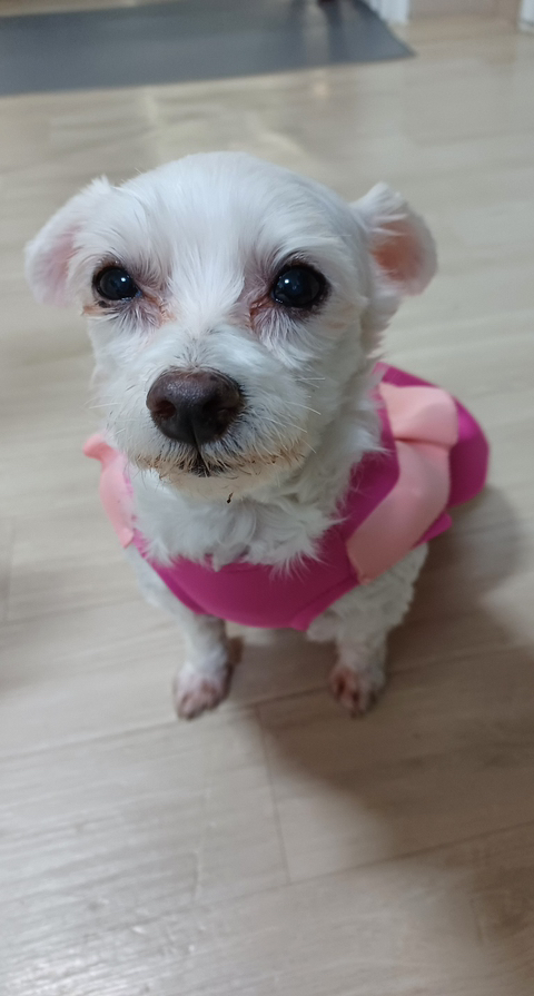 수지집 이미지