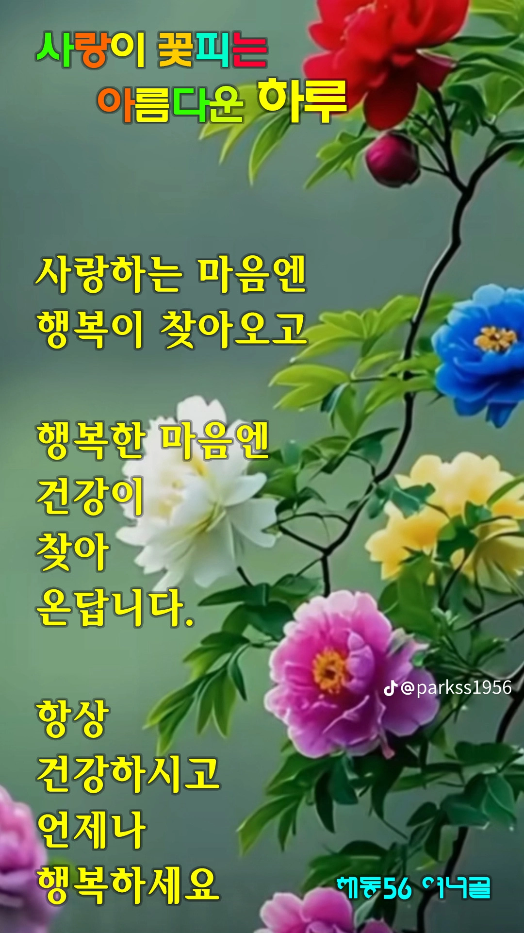 진심 이미지