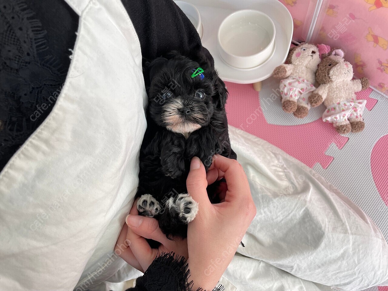 블랙파티 이미지