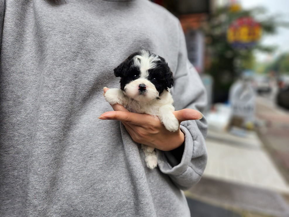 블랙파티 이미지