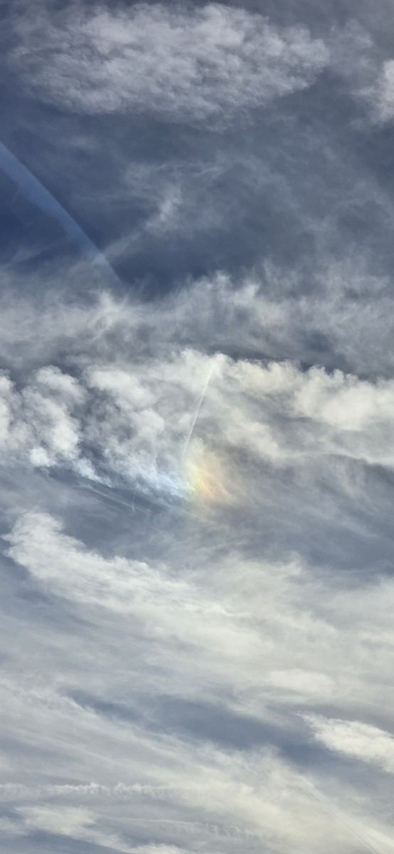 26c4cb98ea107b9fcfc7a1c57b0d4162e3d14ca4