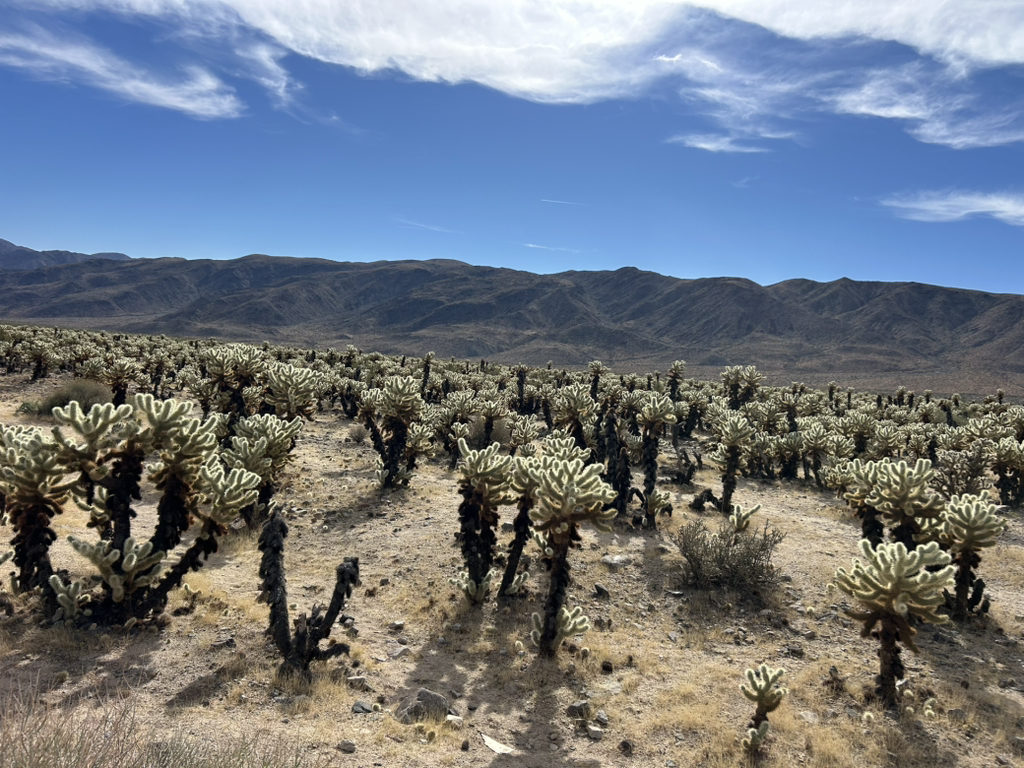 7549be6c2c3460979059df6945c83ae0a6b25206