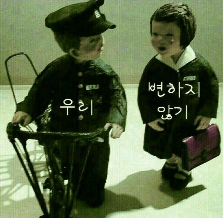 송백 이미지