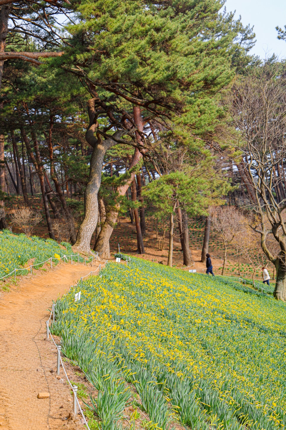 검단농업협동조합 이미지