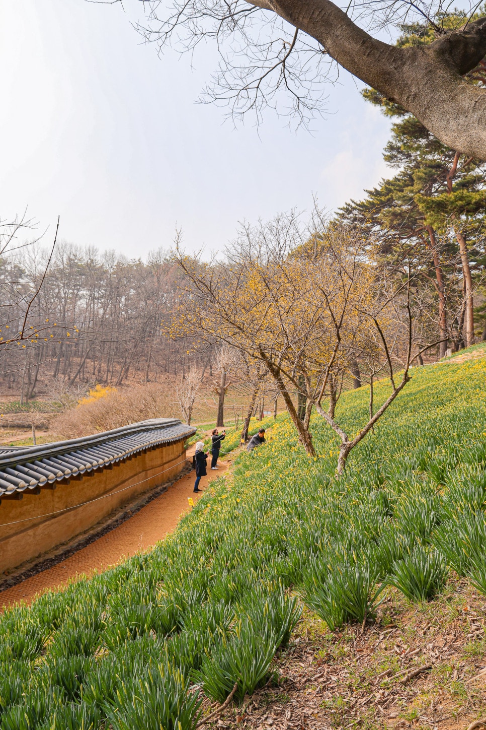 검단농업협동조합 이미지
