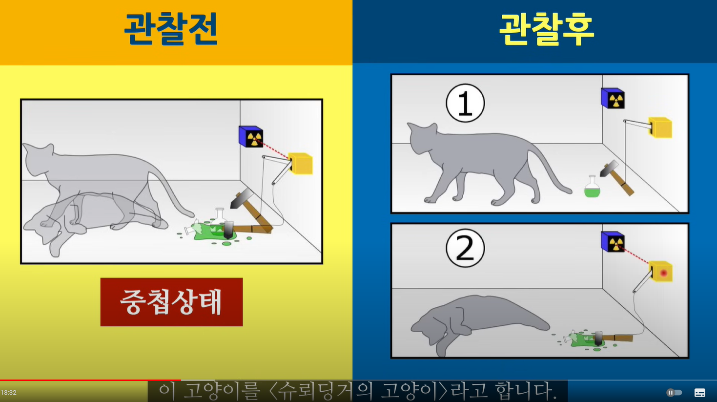 양자 역학의 한 가지 큰 착각 : “큰 쥐는 큰 동물이다!” - 과학과 철학 - 이명곤의 철학교실