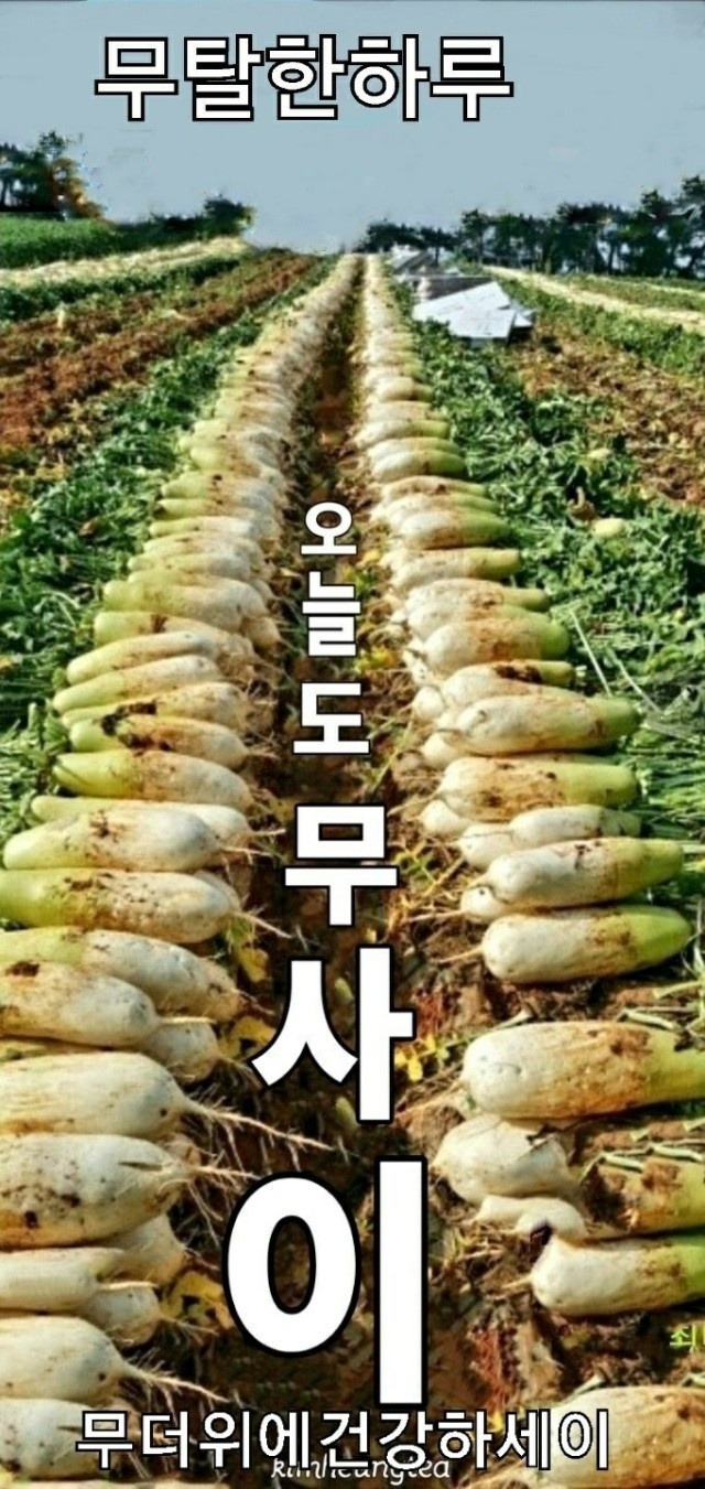 무사이 이미지