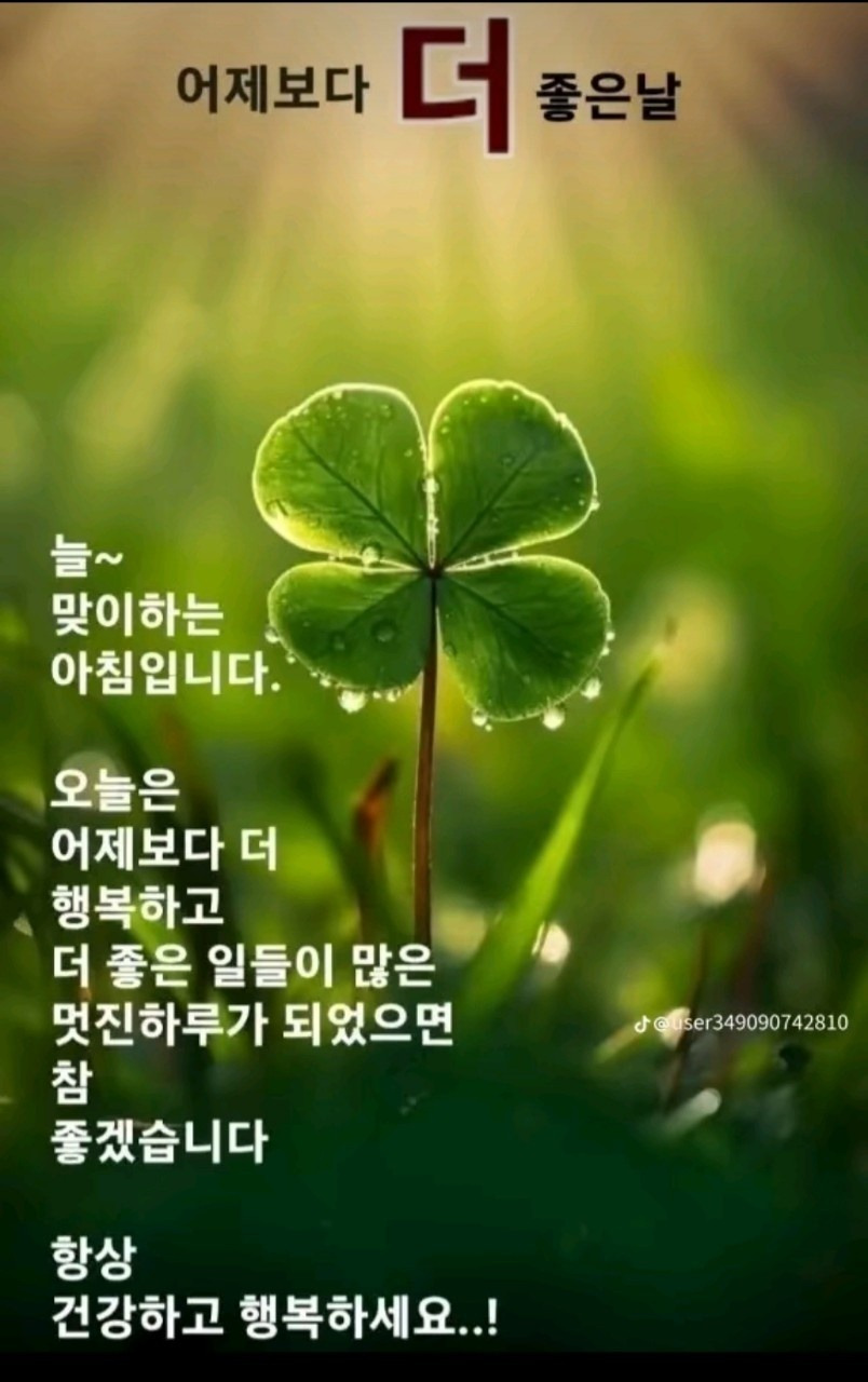 더~ - 오늘의 한컷 - 비문 작성법(碑文) 및 전통 문화
