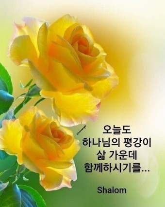 오늘도 이미지