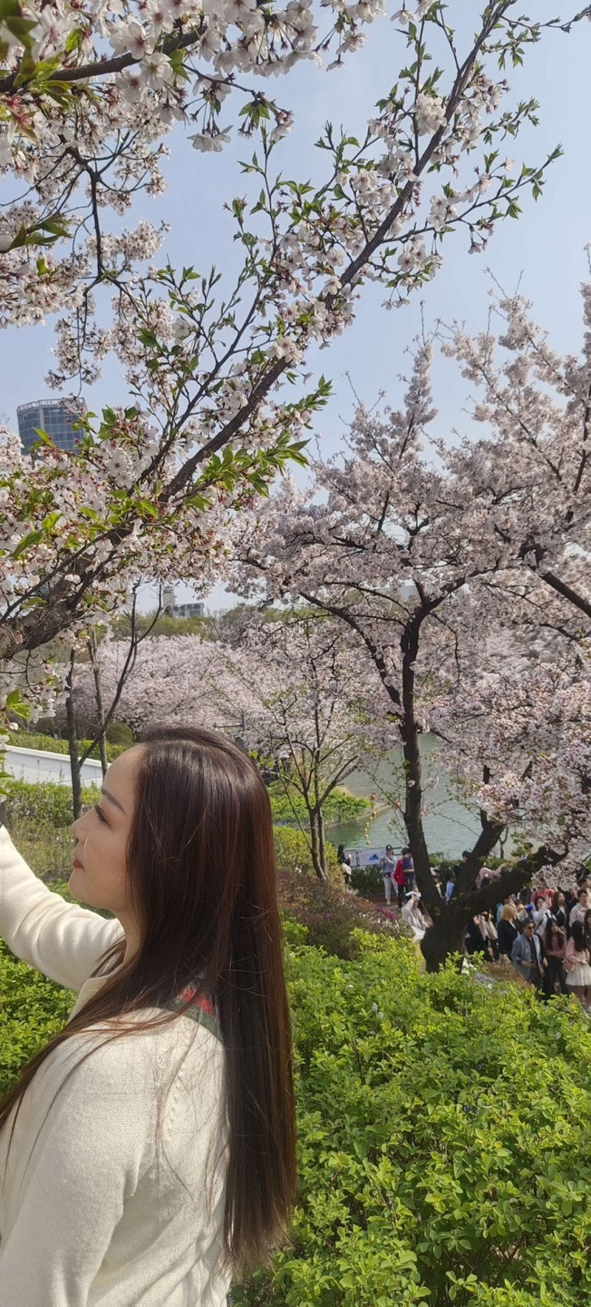 산들바람 이미지