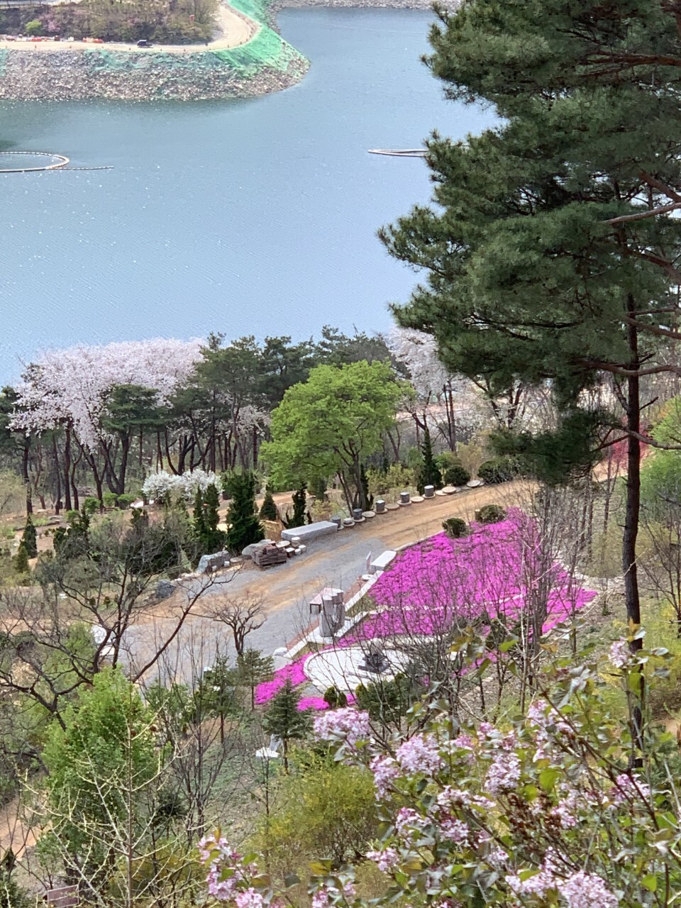드림숲 이미지