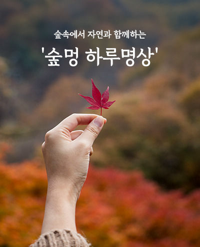 자연과숲 이미지