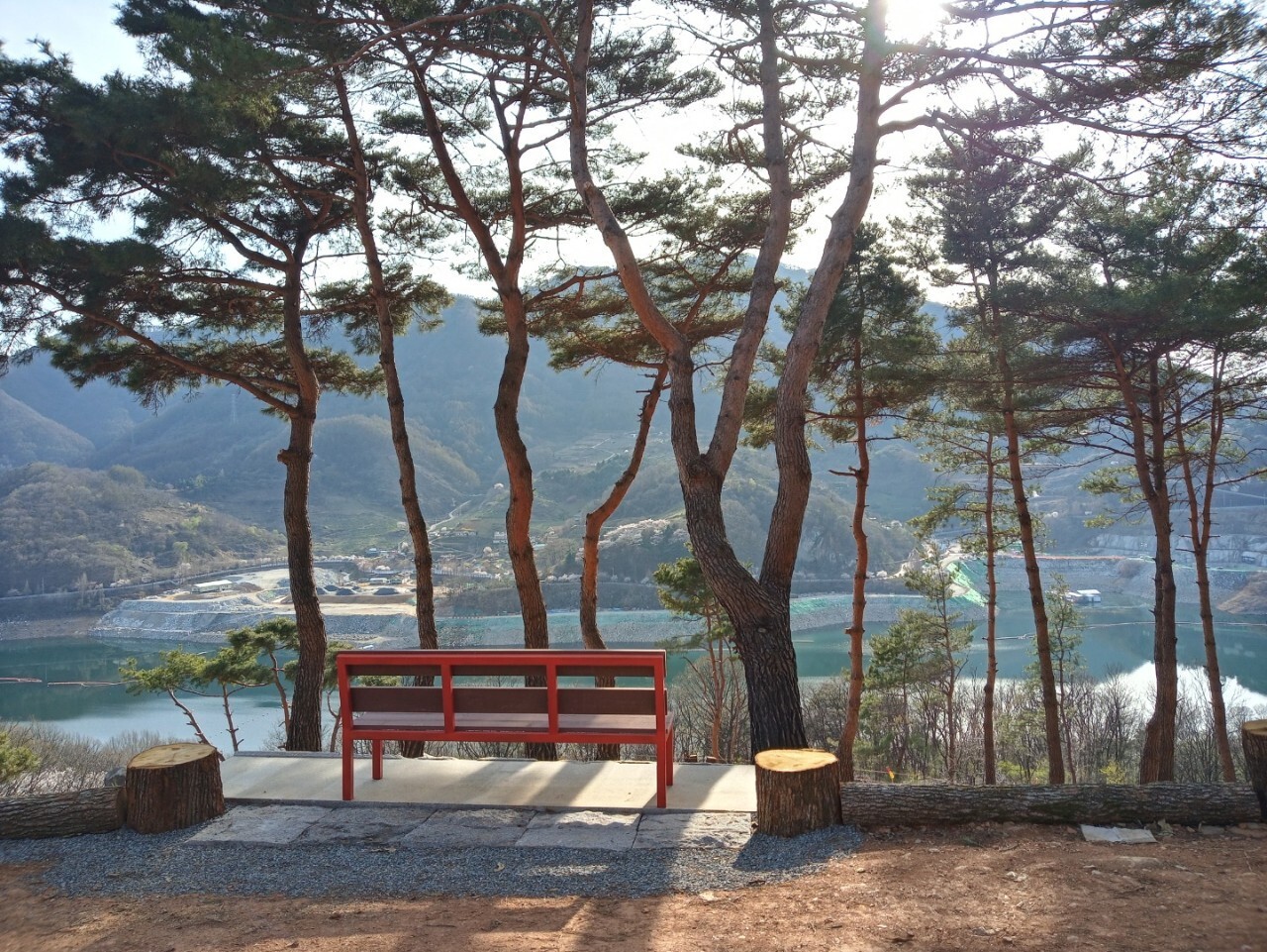 드림숲 이미지