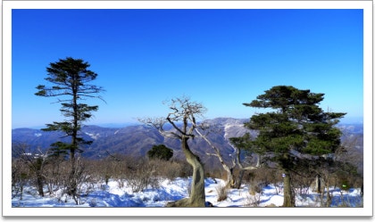 태백산 천제단 이미지