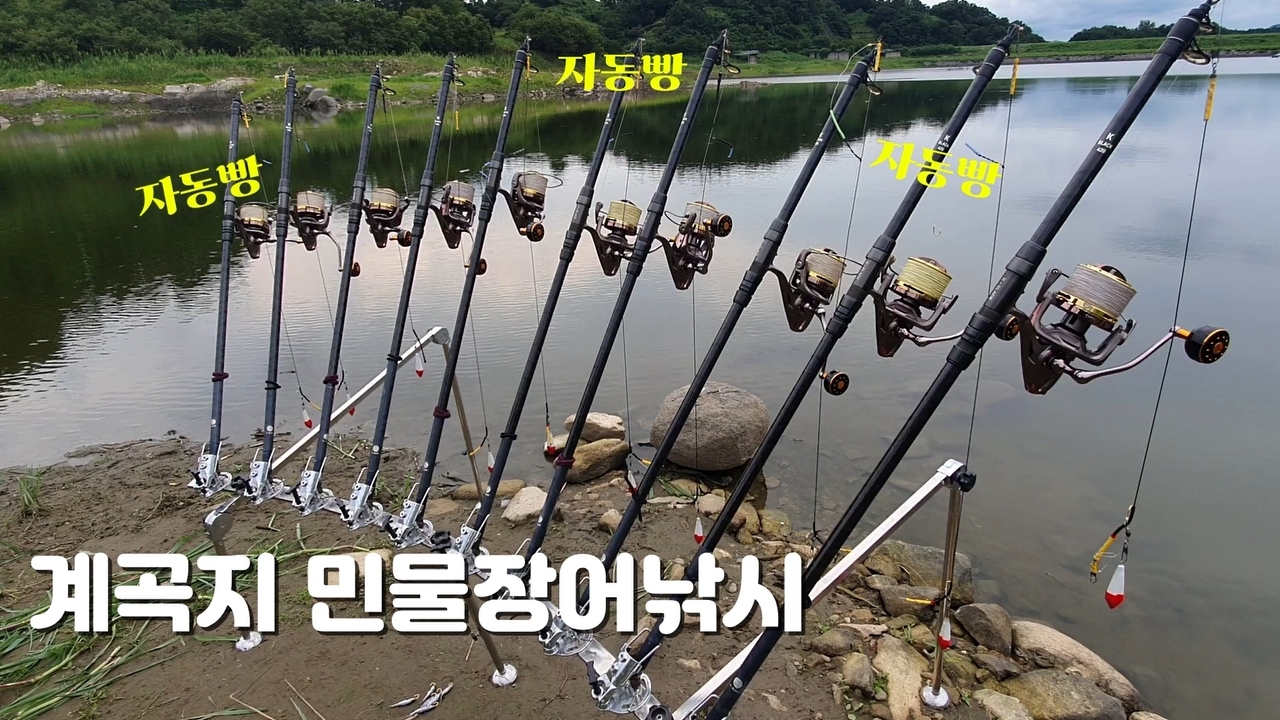 대물장어 이미지