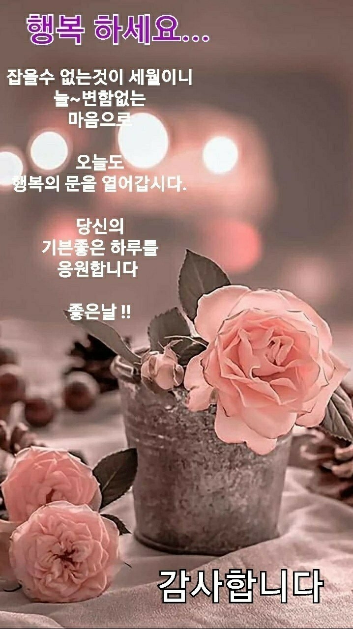 행복한 하루 이미지