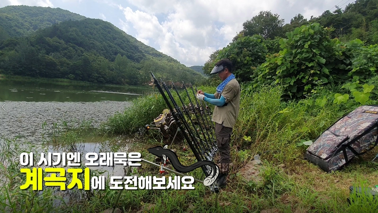 대물장어 이미지