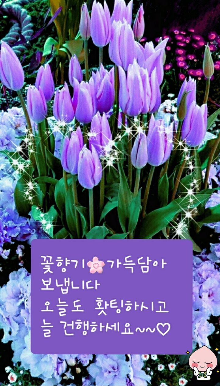 행복한하루 이미지