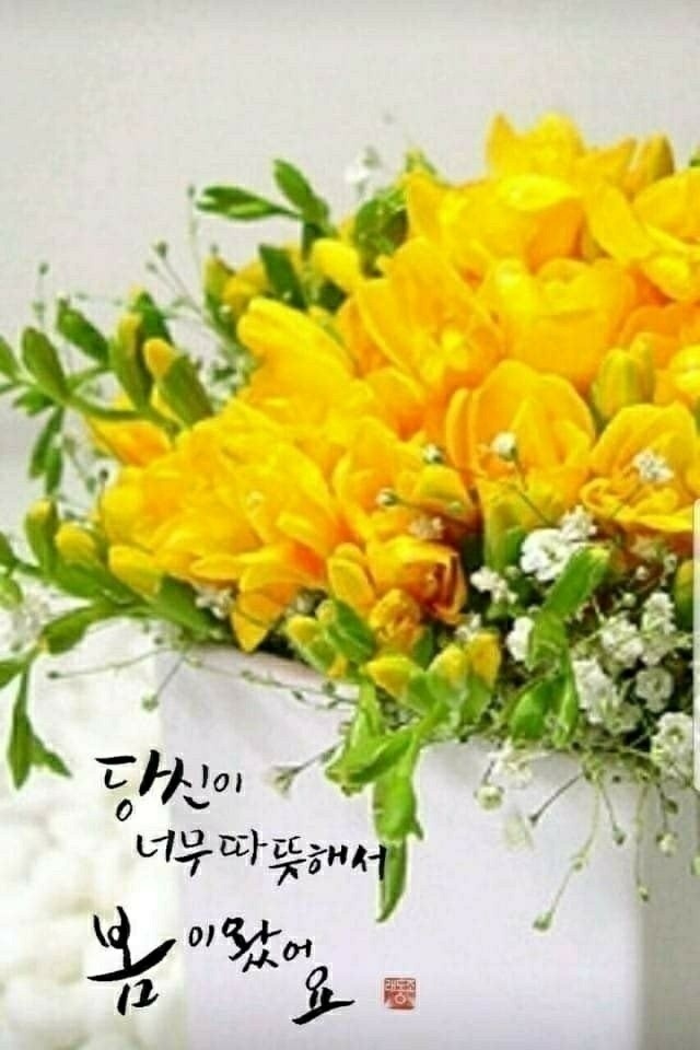 행복한하루 이미지