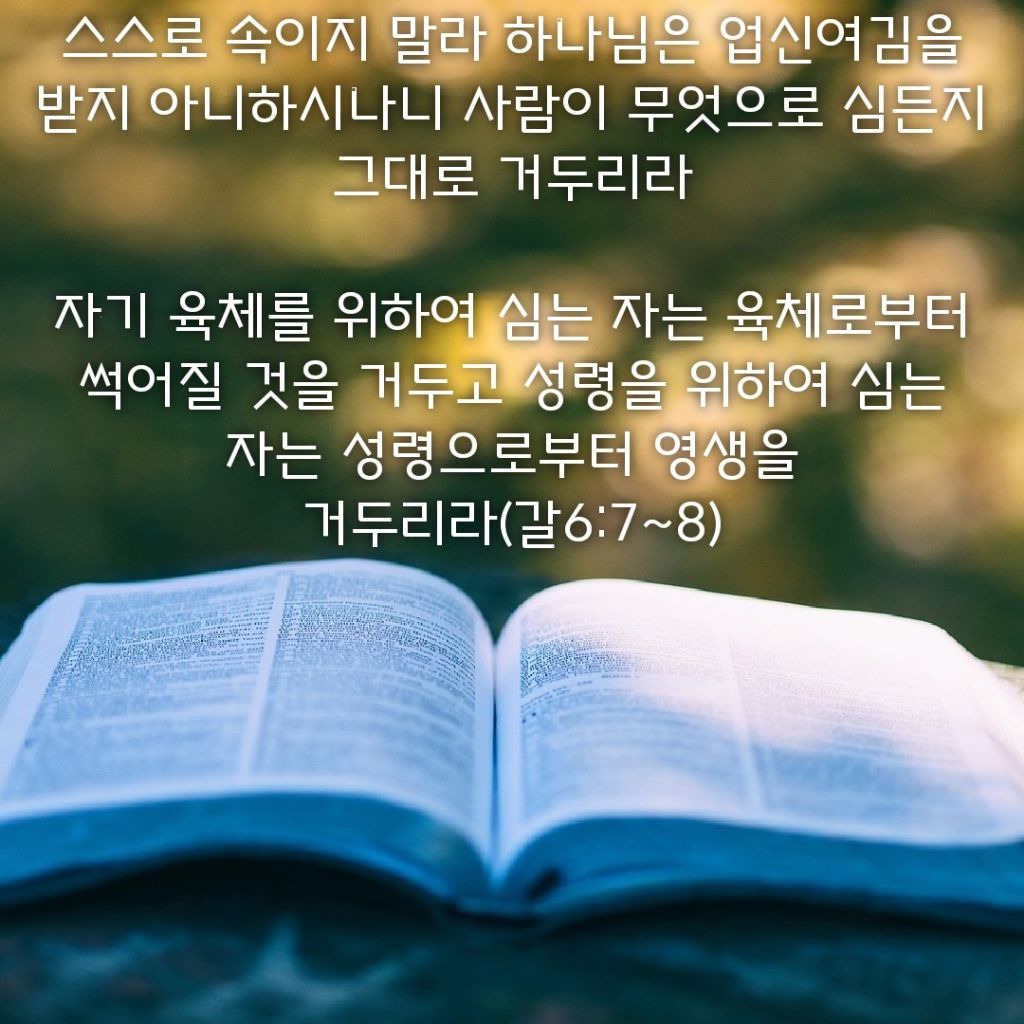 노다지 이미지