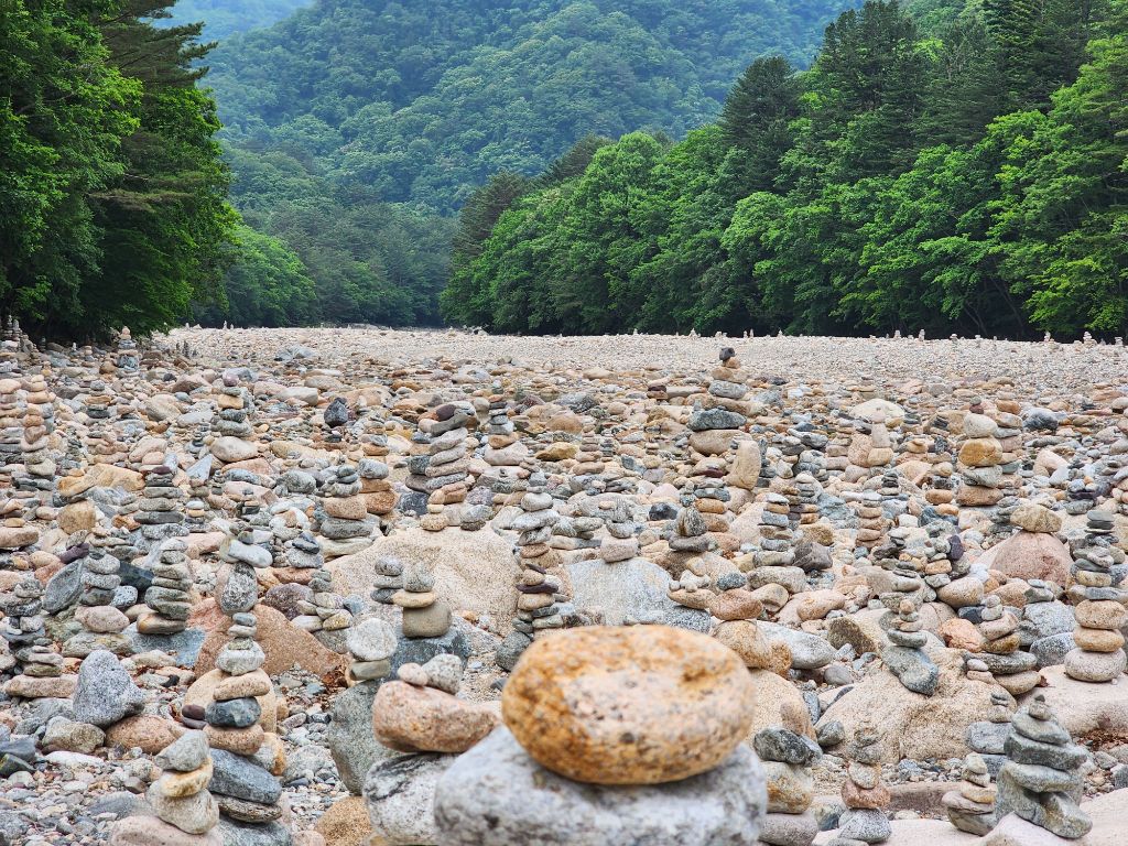 신선계 이미지