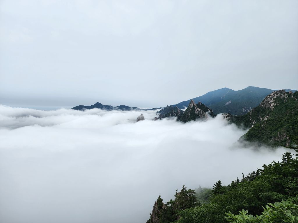신선계 이미지